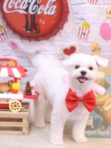 20230923まるちゃん